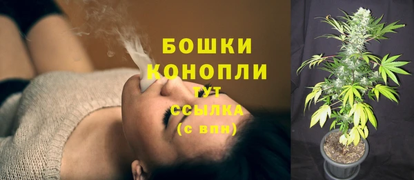индика Гусь-Хрустальный