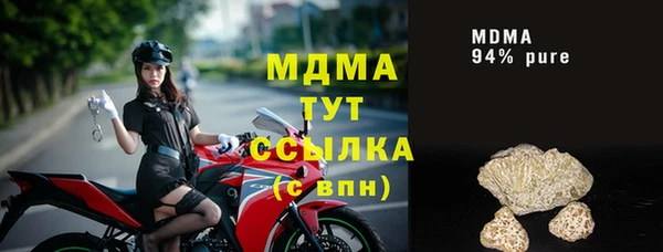 индика Гусь-Хрустальный