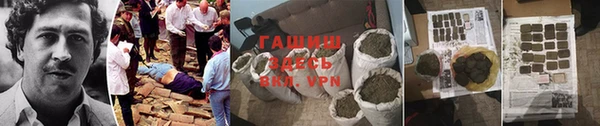 молекула духа Кущёвская