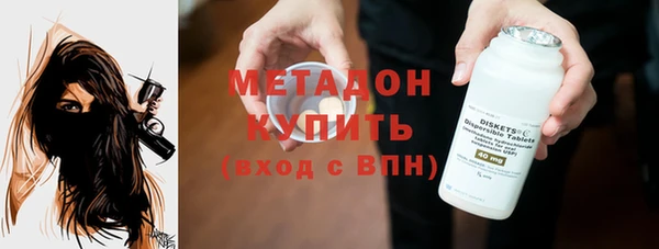 индика Гусь-Хрустальный