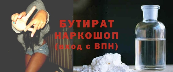 индика Гусь-Хрустальный