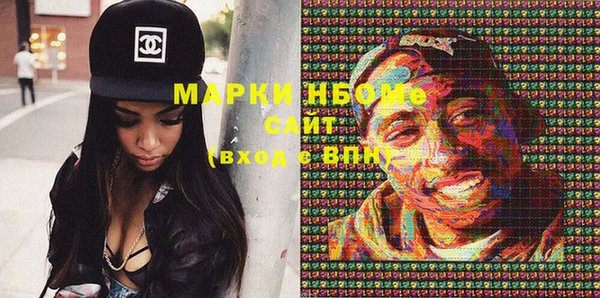 индика Гусь-Хрустальный