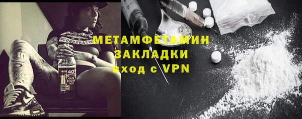 индика Гусь-Хрустальный