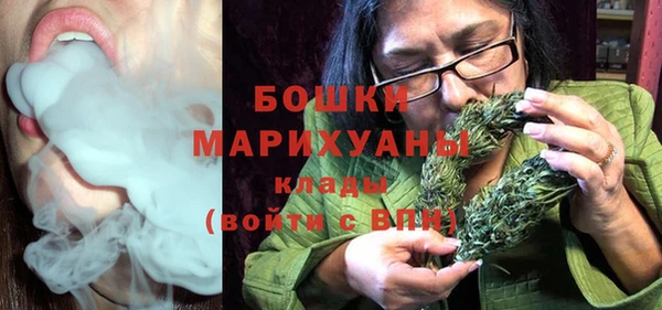 индика Гусь-Хрустальный