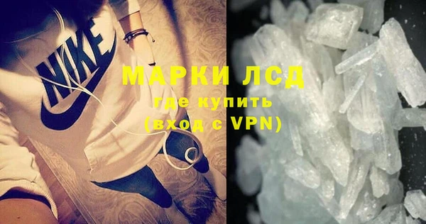 индика Гусь-Хрустальный