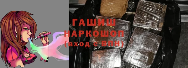 индика Гусь-Хрустальный