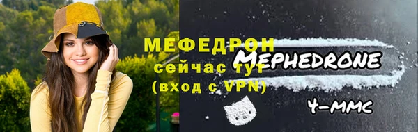 индика Гусь-Хрустальный