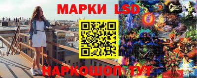 стаф Волгодонск