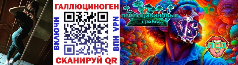Галлюциногенные грибы Psilocybe  блэк спрут зеркало  Зеленодольск 