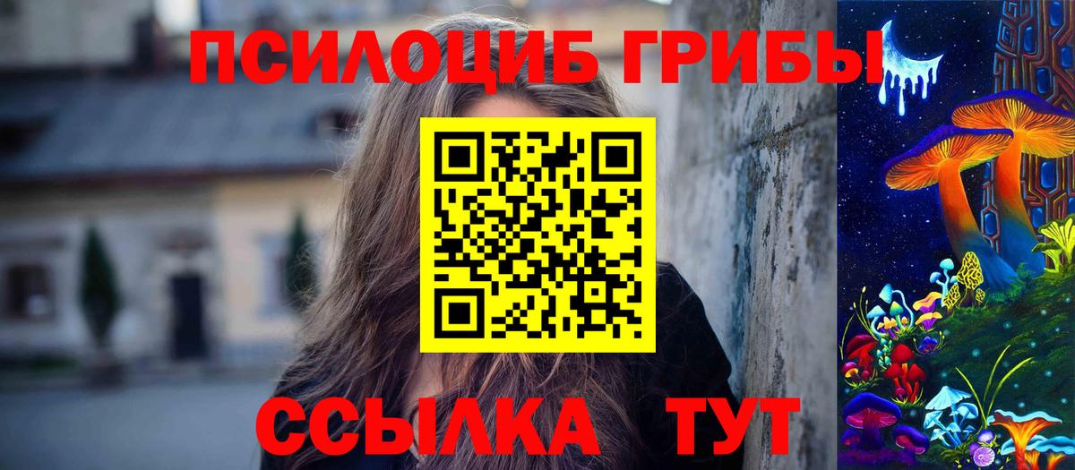 Псилоцибиновые грибы мицелий Зеленодольск