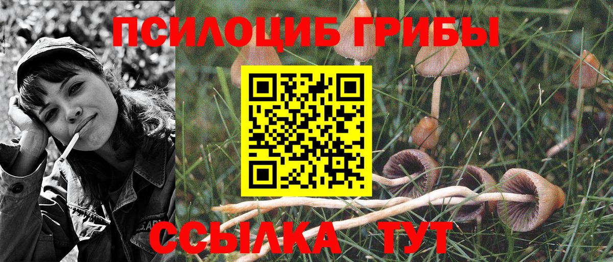 как найти закладки  Галлюциногенные грибы MAGIC MUSHROOMS  Вход с VPN  Зеленодольск 