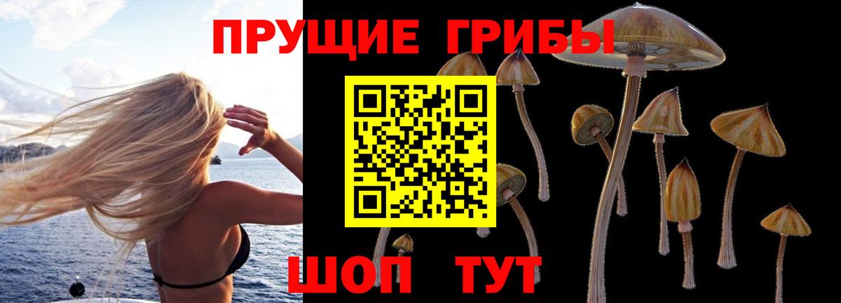 Псилоцибиновые грибы мицелий  Галлюциногенные грибы Cubensis  Зеленодольск 